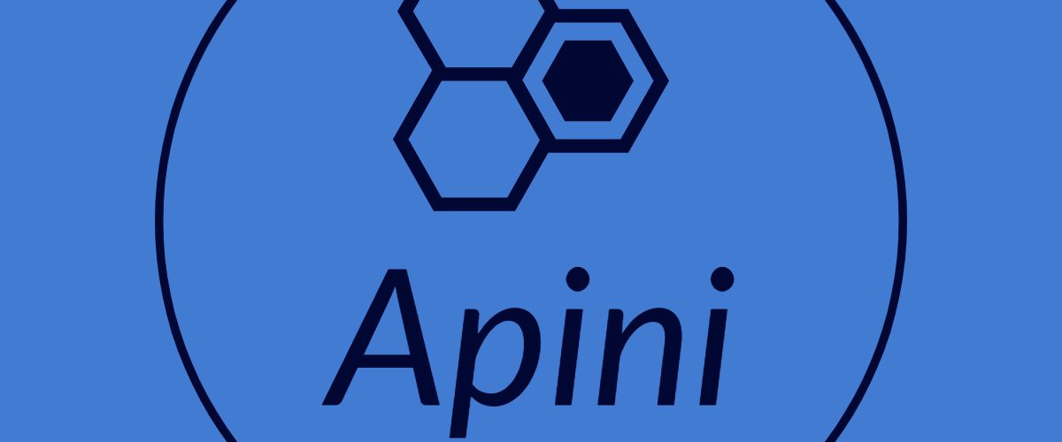 Elevating Business Essex Networking APINI CONSULTING - CFO