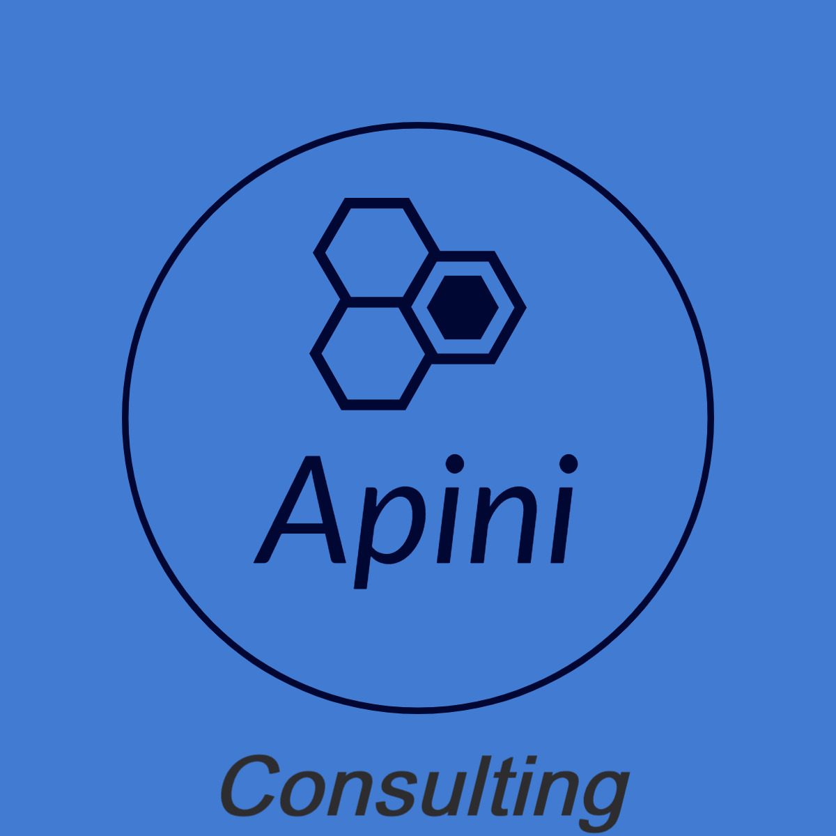 APINI CONSULTING