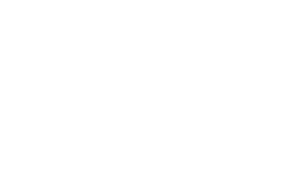 THE NEW BOAR ABRIDGE